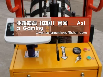 亚娱体育案例展示三(图1)