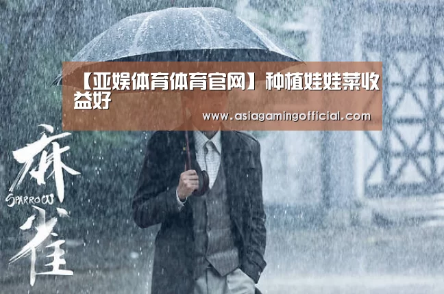 【亚娱体育体育官网】种植娃娃菜收益好(图3) 亚娱体育