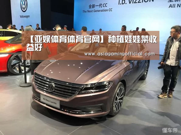 【亚娱体育体育官网】种植娃娃菜收益好(图1) 亚娱体育体育官网