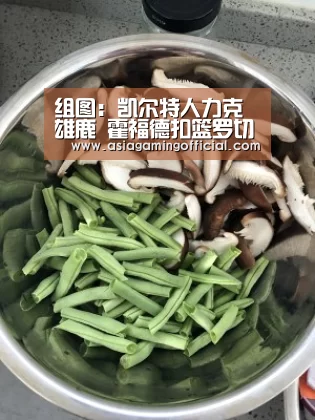组图:凯尔特人力克雄鹿 霍福德扣篮罗切尔打破|亚娱体育体育(图1) 亚娱体育体育官网