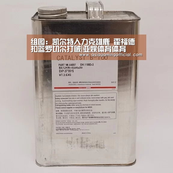 组图:凯尔特人力克雄鹿 霍福德扣篮罗切尔打破|亚娱体育体育(图2) 亚娱体育