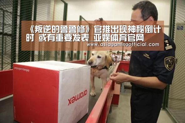 亚娱体育体育