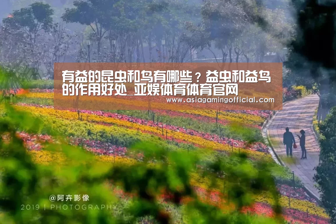 有益的昆虫和鸟有哪些?益虫和益鸟的作用好处_亚娱体育体育官网(图1) 亚娱体育