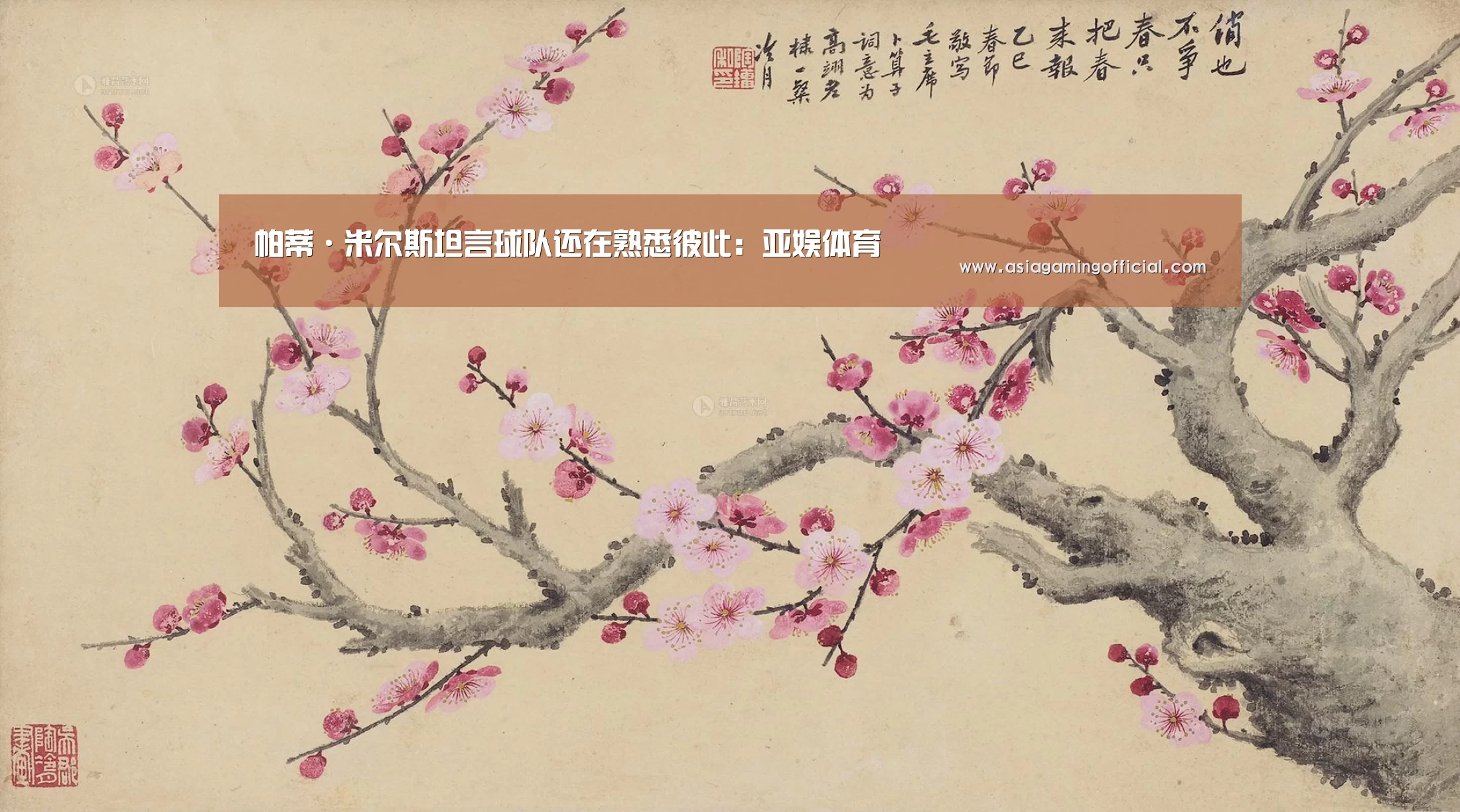 亚娱体育官网